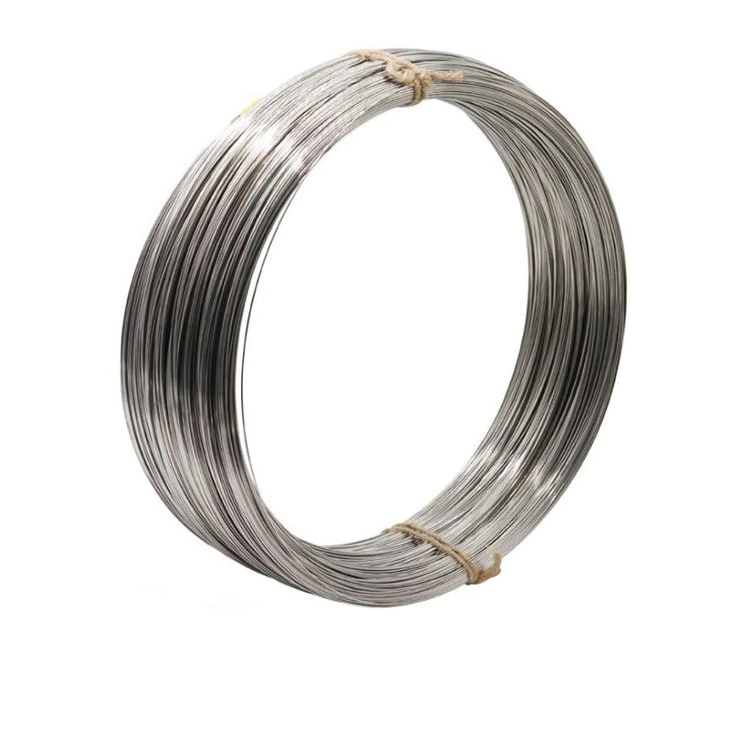 Factory Direct Sale Hot DIP Galvanized Wire/Steel Wire/Spring Wire/Stainless Steel Wire for Binging Metal Wire