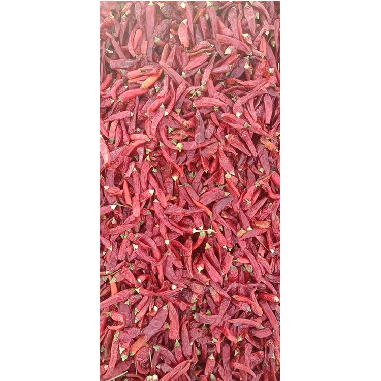 Hot High Spicy Dry Whole Chilli in China