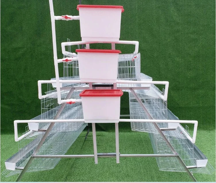 Hot Galvanization Poultry Equipment a Type 3-5 Tier Chicken Layer Cage