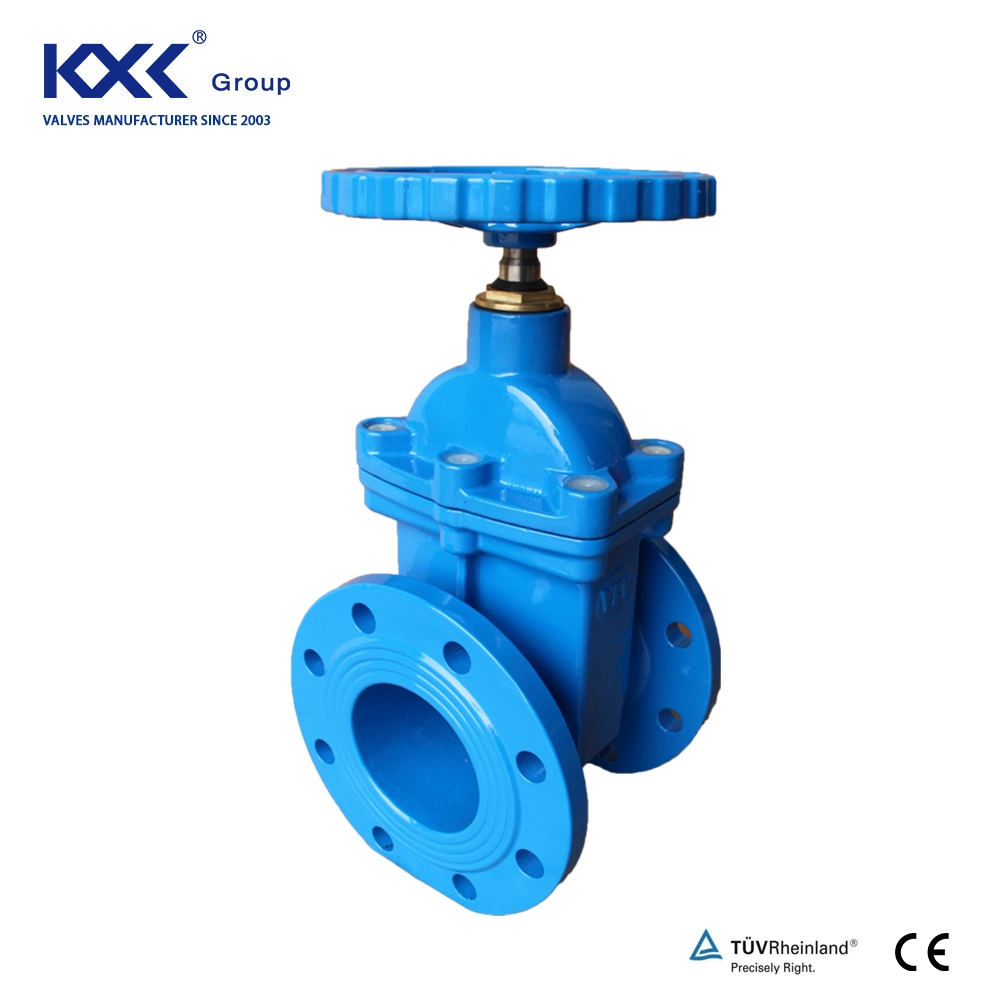 350mm Gate Valve Ductile Iron Carbon Steel DN80 DN150 Water Flange Gate Valve Pn16 Cast Iron Valve for HDPE Pipe