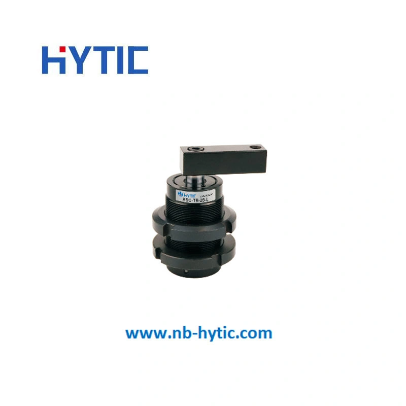 Fes to Rotary Cylinder Src /Asc/Ack Series Pneumatic Cylinder