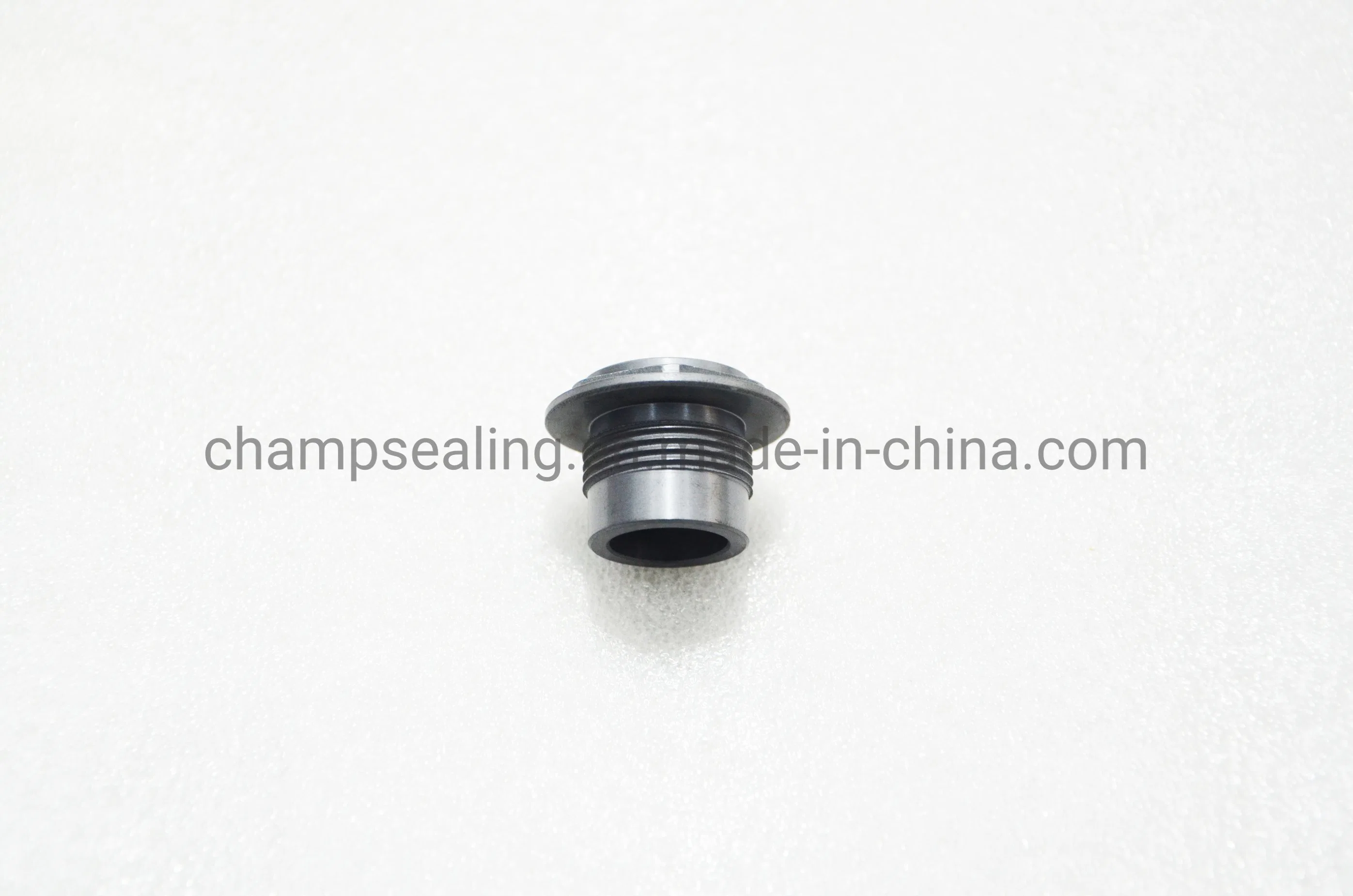 Sic Ceramic Sealing Ring