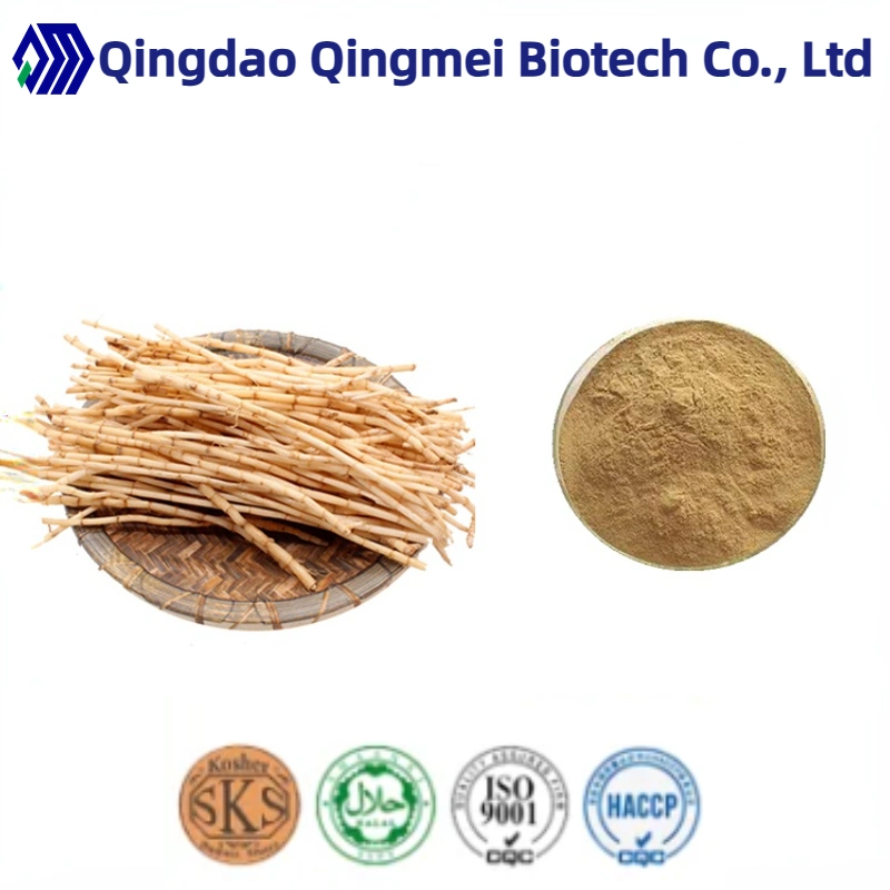 Manufacturer of Natural Couch Grass Extract