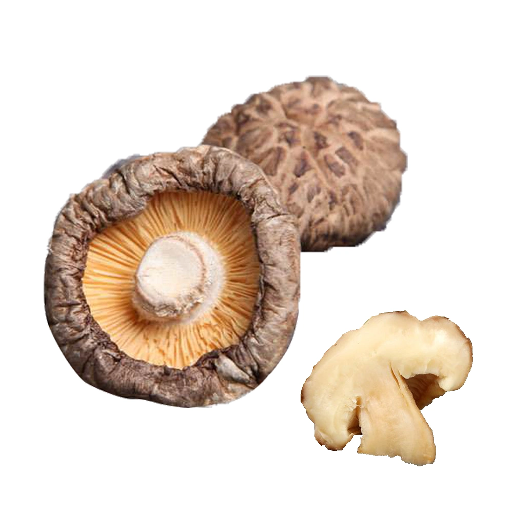 2.5-3 Cm Dark Tea Color Flower Shiitake Mushroom