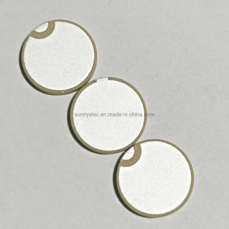 Piezo Ceramic Disc Components Piezo Ceramic Ultraschall-Messumformer PT16