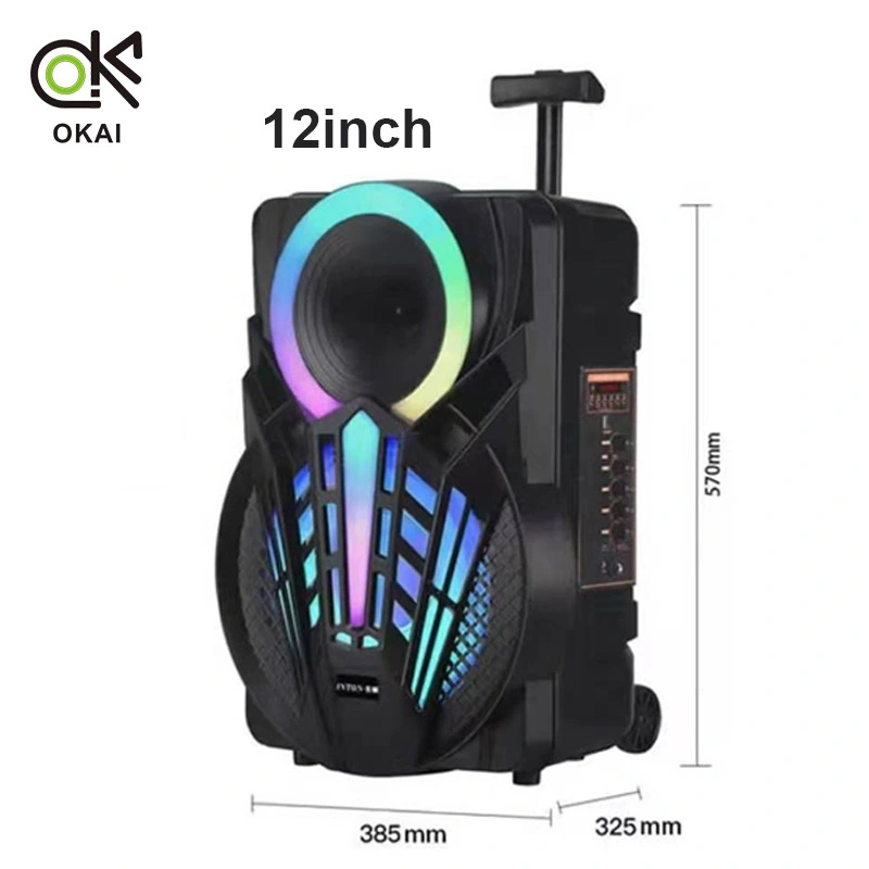 Latest Private 12 Inch Professional Audio with Circle Lighting Wireless with Battery Portable Bluetooth Loud Sound Speaker