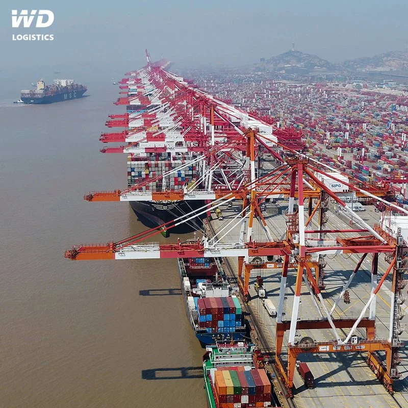 DDP Sea Freight with China Shipping Agent for Container Shipping and Shenzhen Warehouse Service to Southeast Asia USA UAE UK Worldwide with Custom Clearance