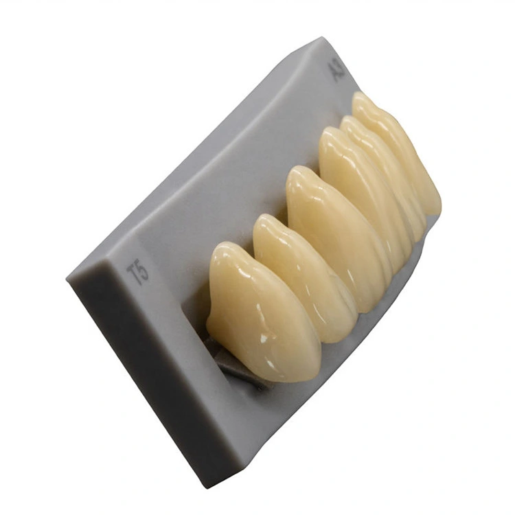 SJ High quality/High cost performance  3-Layer Acrylic Teeth Synthetic False Teeth Artificial Tooth