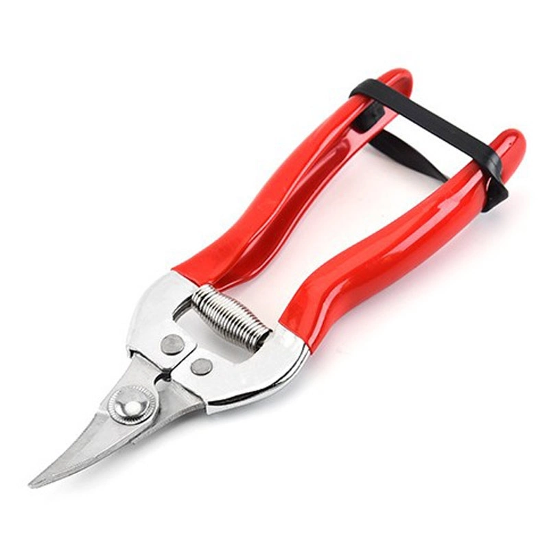 Pruning Scissor Sturdy Fruit Tree Bonsai Gardening Pruning Shear Garden Scissors Pruner Tool Curved Blade