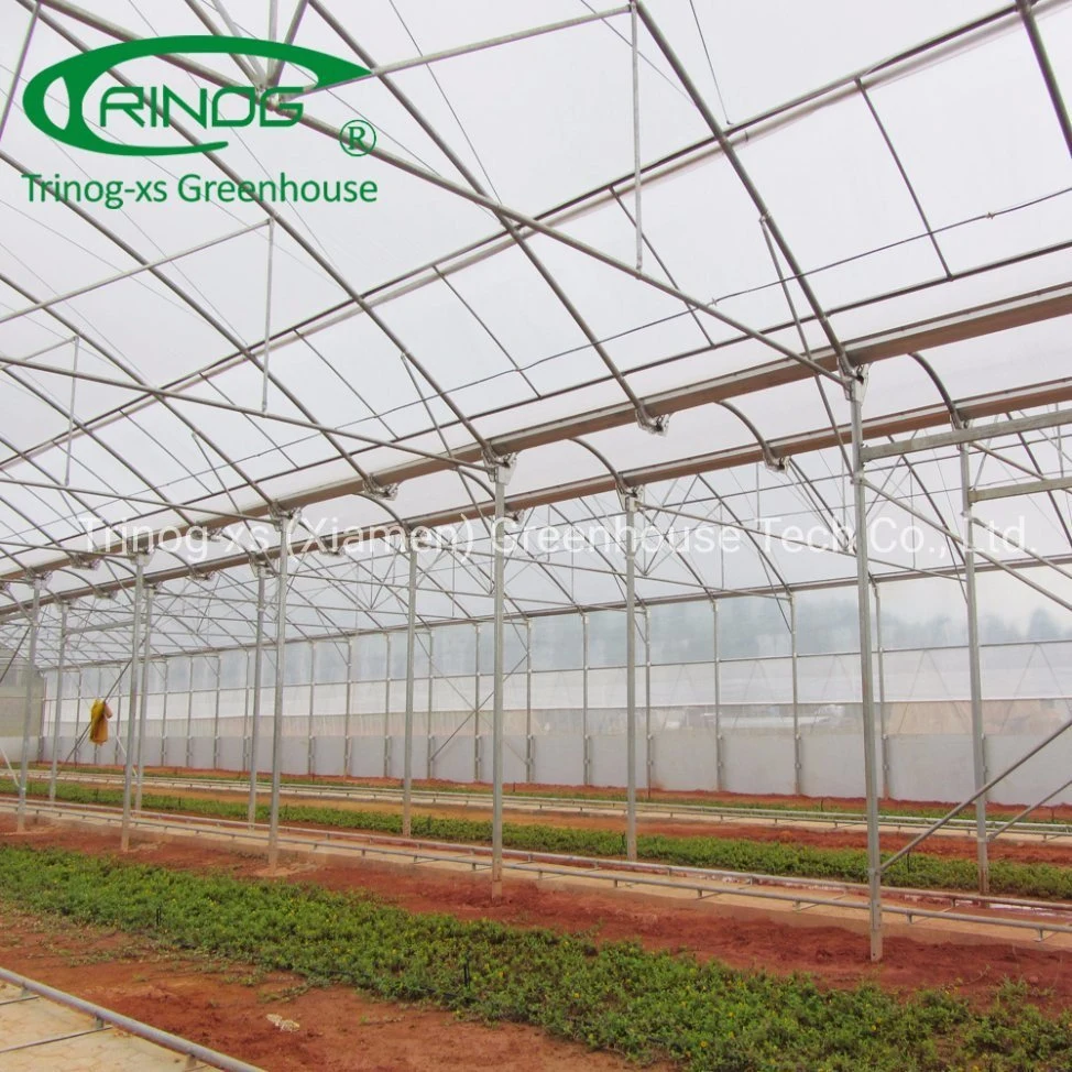 Trinog agricultural roof vent hook hanging tomato hydroponics growing green house for farm