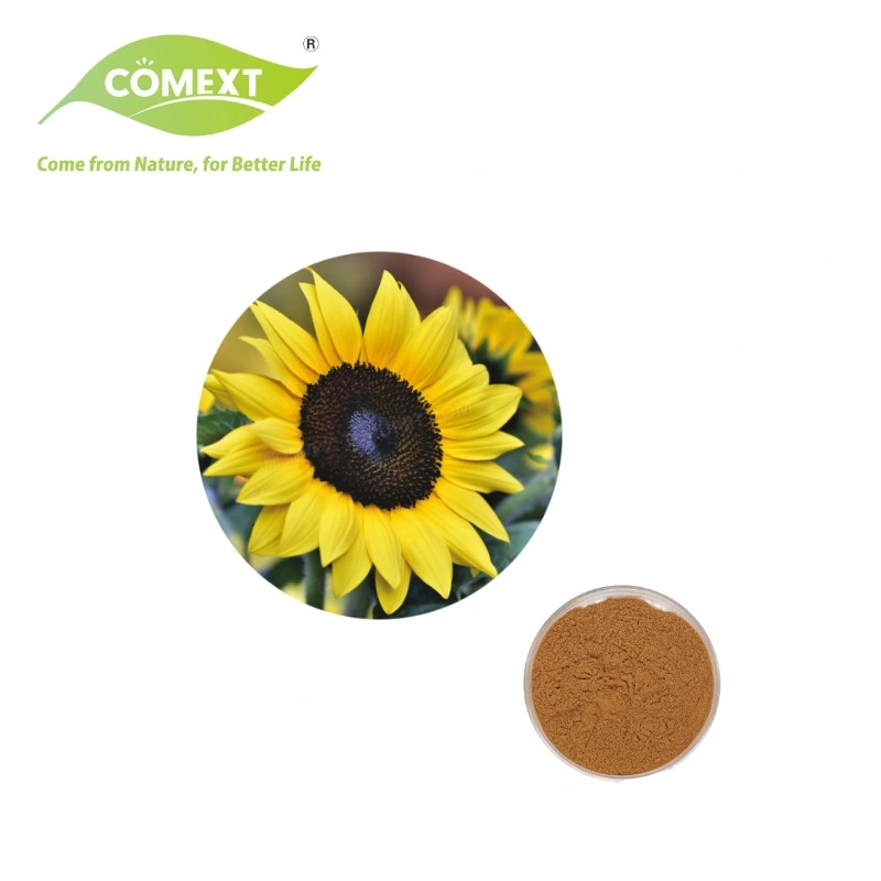 Comext Natural High Quality 70% Phosphatidylserine Sunflower Extract