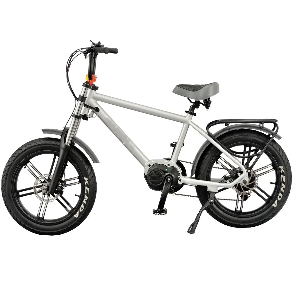 E-Bike экономичные 20" шины, задний привод 750W, движении Бесщеточный двигатель типа жира электрический велосипед