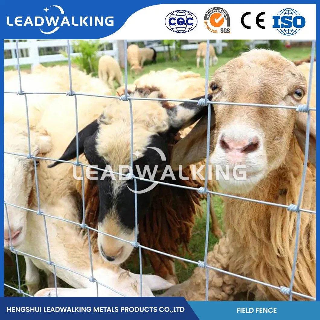 Leadwalking Bulk Field Fence High-Quality Galvanized Farm Field Fence Manufacturing China Long-Lasting Cattle Feeding Fence