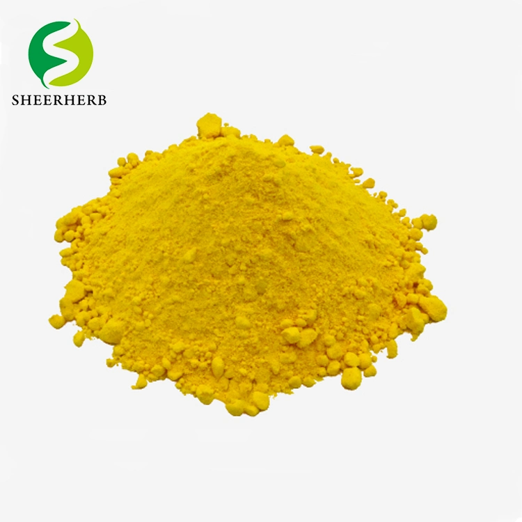 Hot Sale Goldthread Extract Bulk Berberine Powder with Best Price Berberine Hydrochloride