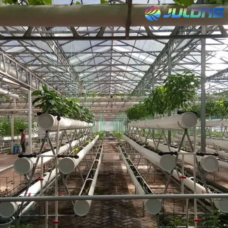Agriculture Farming Strawberry Growing Hydroponics System Greenhouse with Irrigation Fertilizer