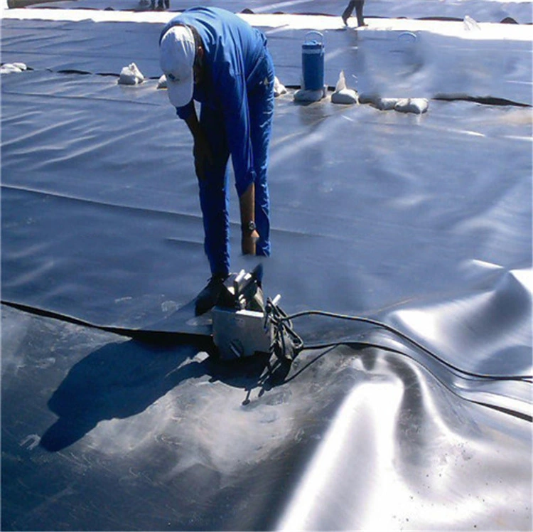 HDPE Building Foundation Waterproof Geomembrane for Damp Proof