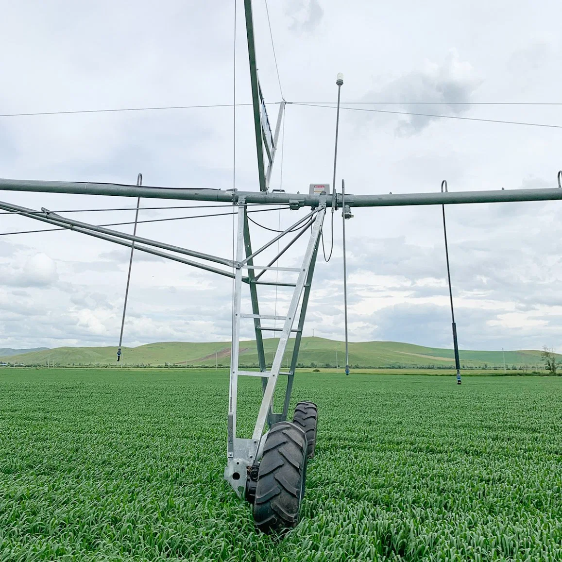 Central Pivot Sprinkler Irrigation Machinery for Large Corn Field