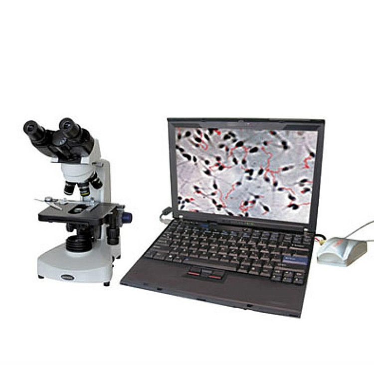 Ysxwj107bn Medical Pet Laboratory Equipment Veterinary Binocular Microscope