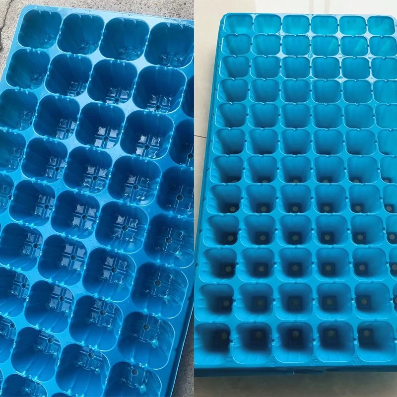 Großhandel Kunststoff Sämling Tray Sämling Vermehrer Tray Seed Trays Neu Sämling Tablett Blau Farbe hohe UV-Beständigkeit wiederverwendet