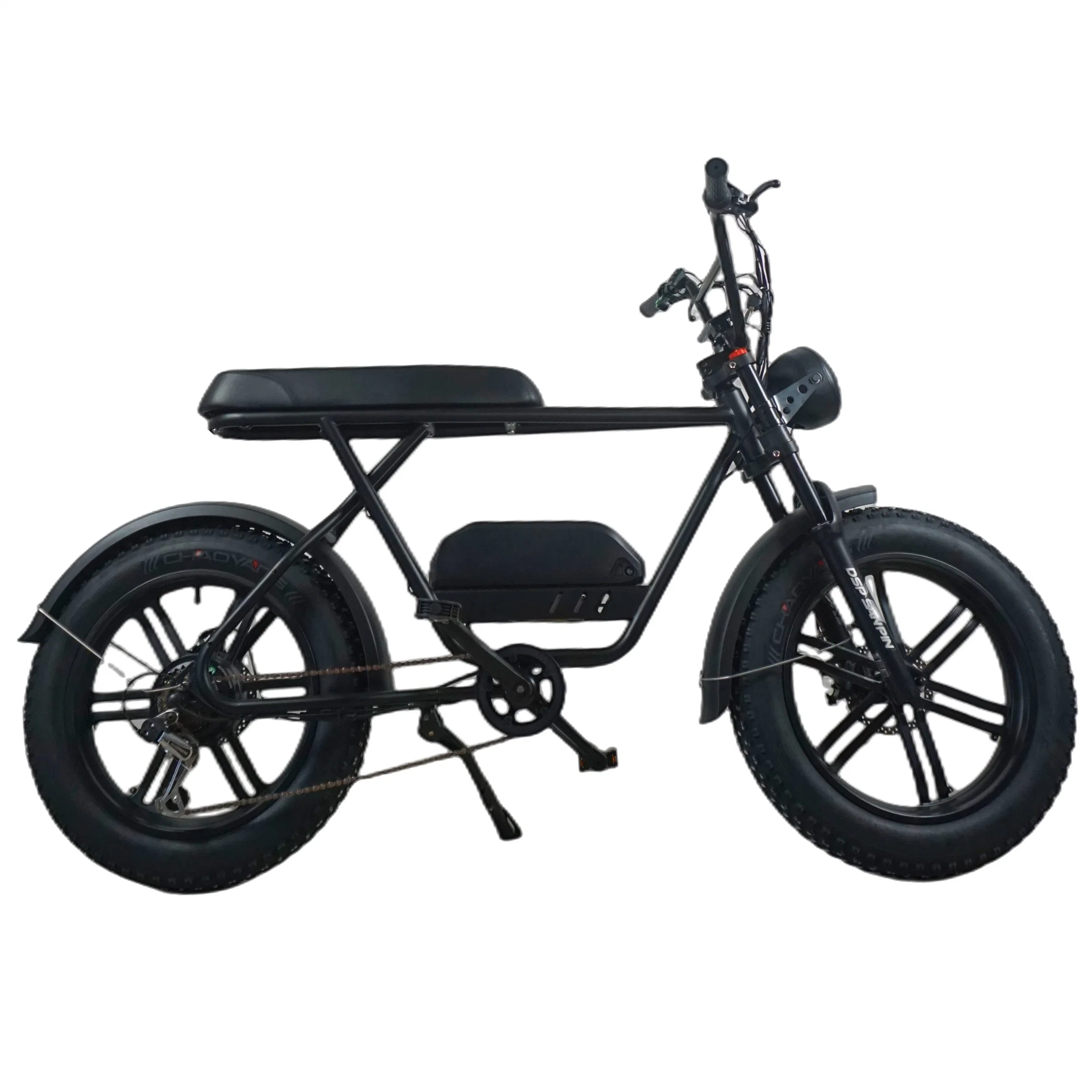 Fat Tire New Design 48V 750W Scooter Disc Brake Electric Bike