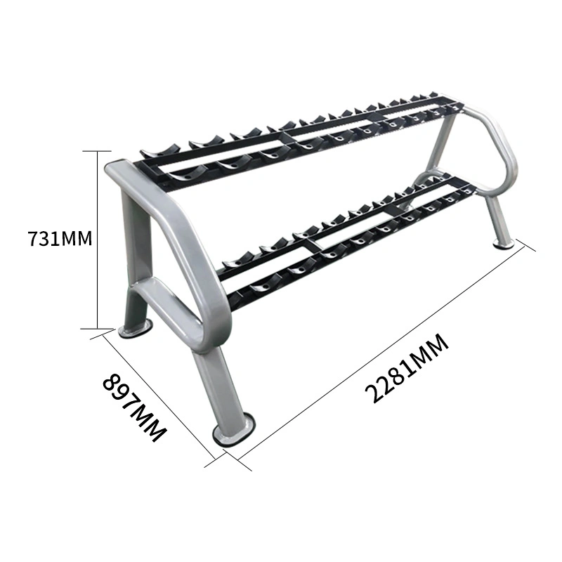 Gym Storage Equipment Manufacture Factory Wholesale/Supplier Price 2 Tier Dumbbell Rack