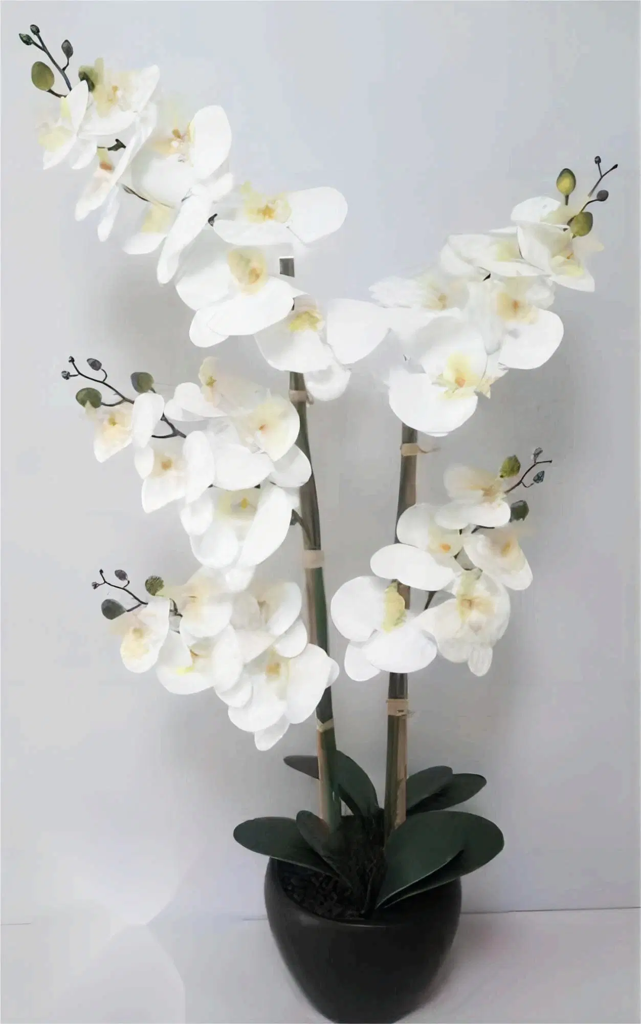 OEM Factory Customized Wholesale/Supplier Artificial Flower Home Decor Artificial Orchid Flower Artificial Plastic Orchids Artificial Bonsai Orchid Manufacturer in China