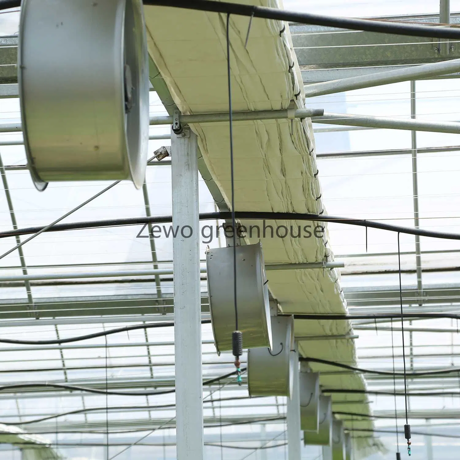 Intelligent Agriculture Multi Span Arch-Type Film PE Greenhouse for Vertical Farming Agriculture of Vegetables