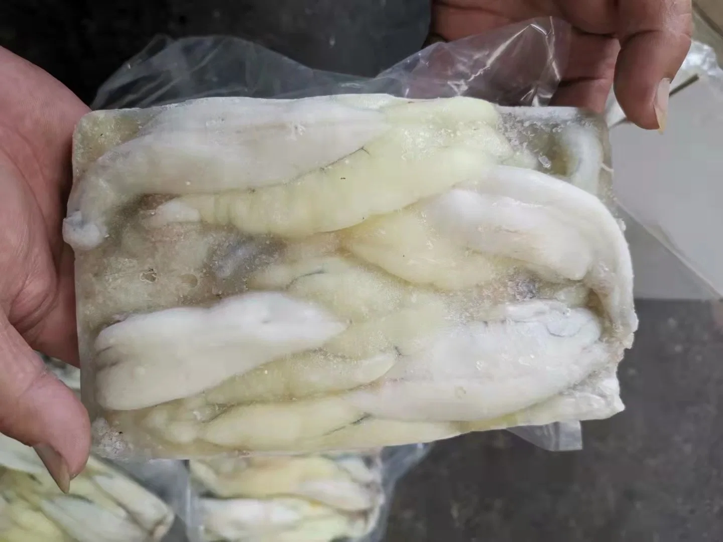 Top Quality Sea Food Processing Squid Roe Frozen Egg Squid