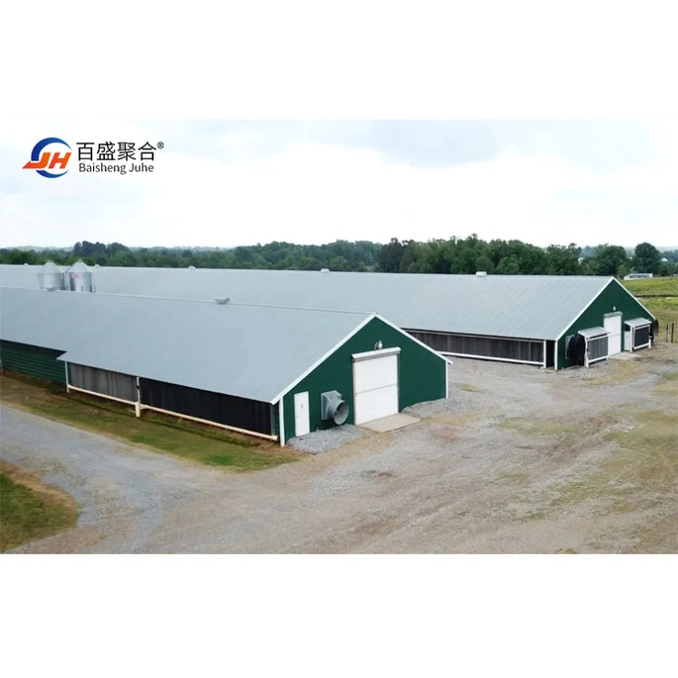 Faible prix de l'élevage de poulet hangar préfabriqué Structure en acier de construction de la chambre