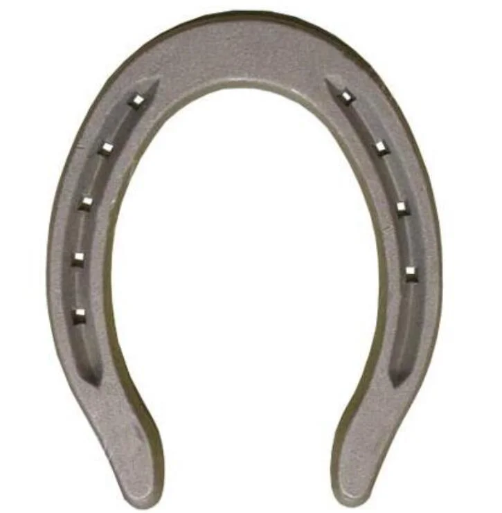 OEM Forged Aluminum Alloy Horseshoe for UAE Export