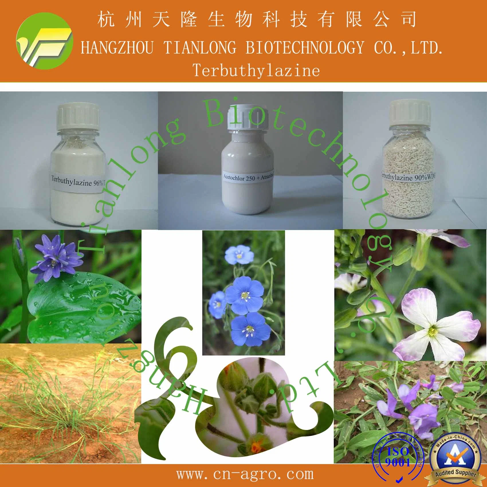 Herbicide Terbuthylazine 500SC