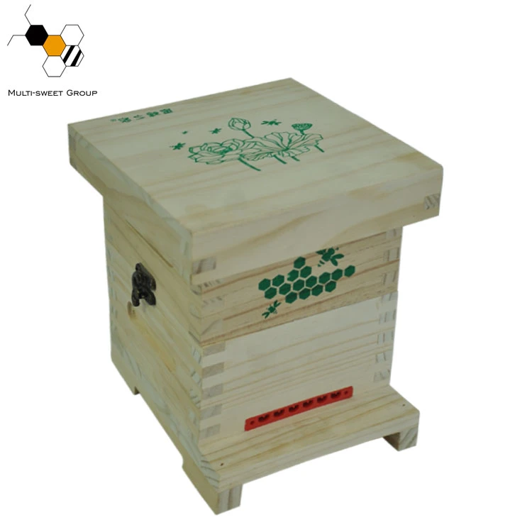 Hive Bee Equipment Art Hive for Bees Art Mini Beehive