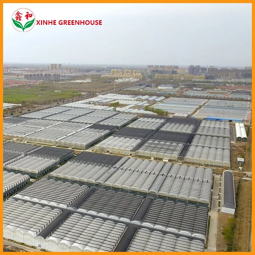 Galvanized Steel Pipe Customized Plastic Film Greenhouse