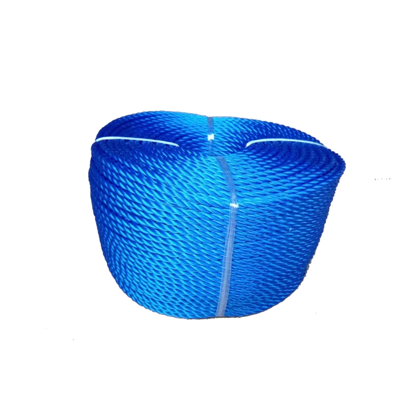 Factory Direct Supply 3/4 Strands 2-20mm Diameter PP /PE/ Nylon Monofilament Twisted Rope for Agriculture/Sea/Fishing/Packing