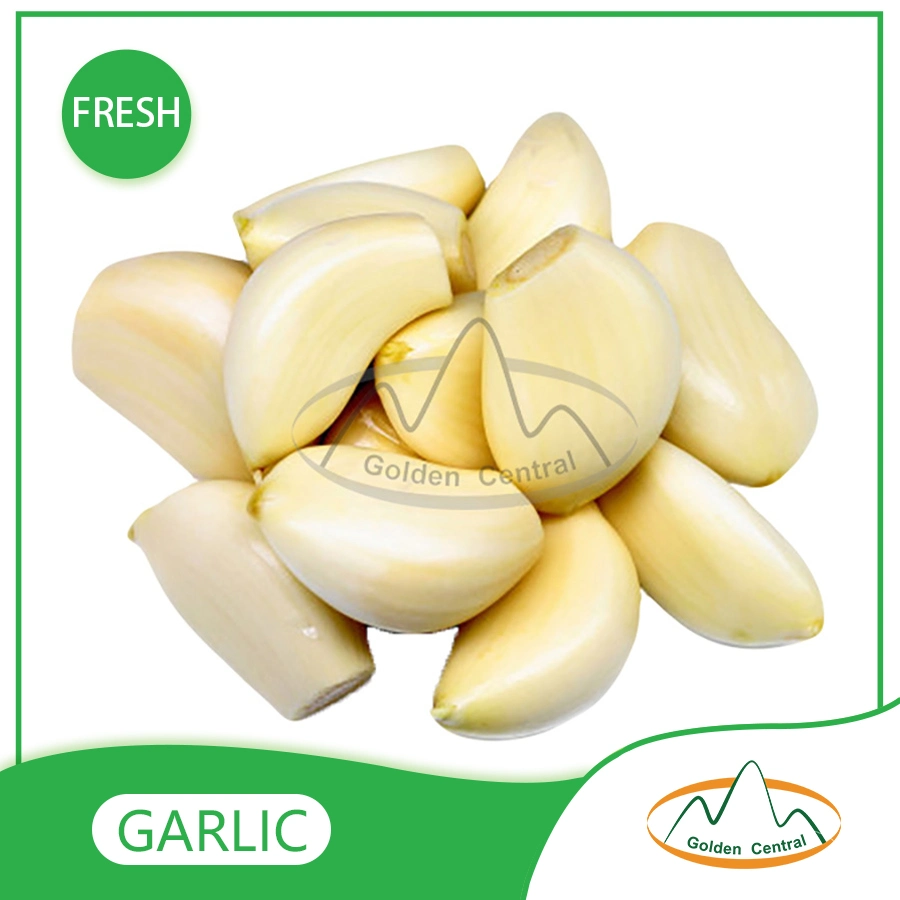 Wholesale Export Fresh High Quality Peeled Garlic