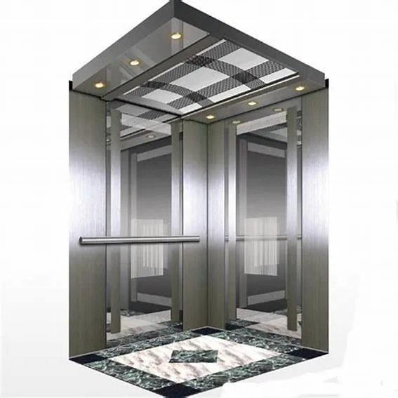 Best Lifts 6 Person Used Passenger Elevators with Factory Price