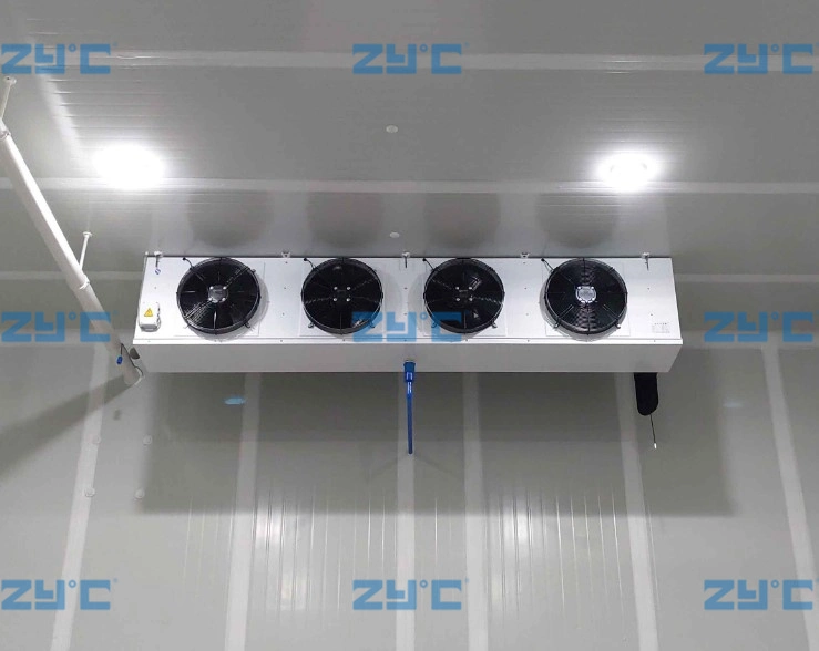 Customizable Temperature Cold Storage Air Cooler Latest Industrial Refrigerators for Ice Storage