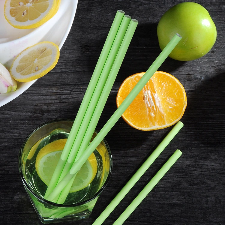 Biodegradable Rainbow Stripe Drinking Paper Straws