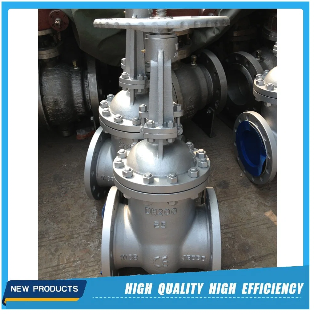 DIN 3352 Pn25 Wcb Gate Valve (Z40H)