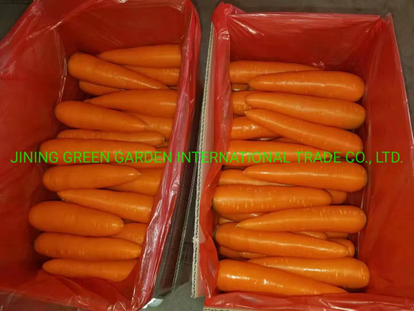 Prix de la carotte lavée de légumes pour bébé doux orange biologique non pelée rouge jaune frais en gros congelé en dés provenant du fournisseur d'usine.