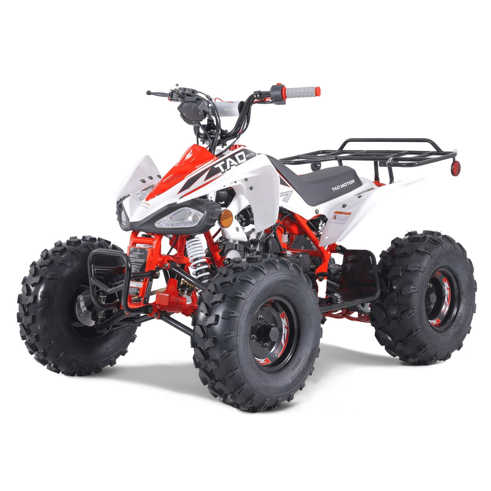 Neues Design Sport Style ATV Quad Bike 110cc 125cc ATV