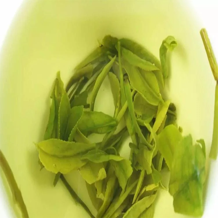 Factory Supply Chinese Top Grade Maofeng Green Tea Health Tea with Strong Taste and Deep Aroma