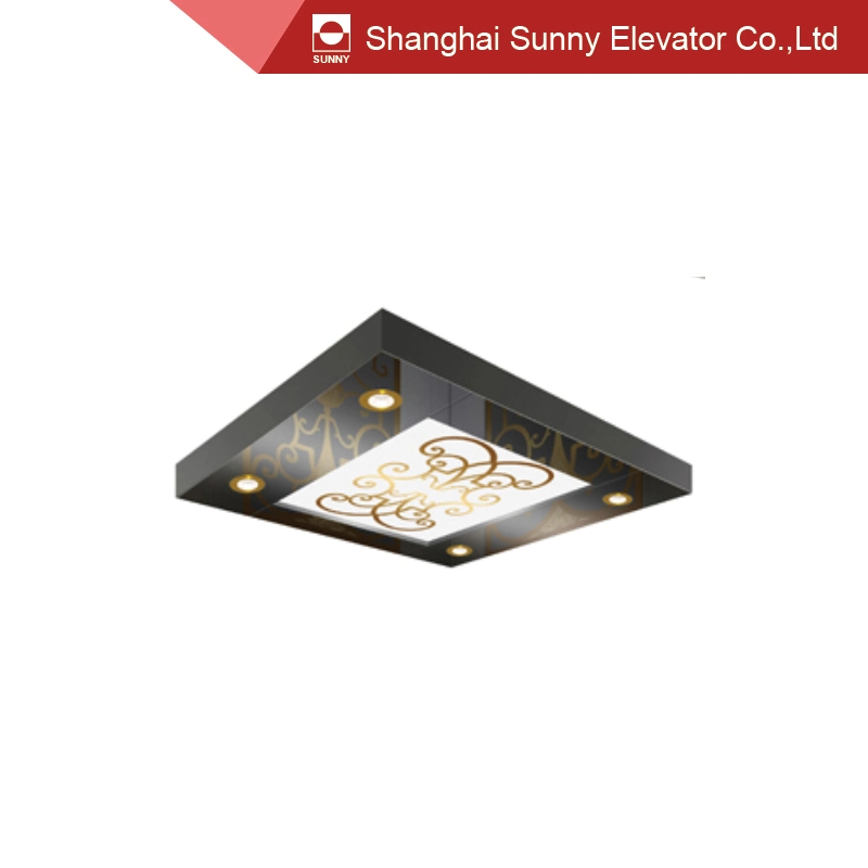 Etched Design Decorative Stainless Steel Elevator Ceiling Light Panel