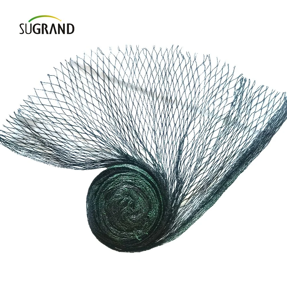 Original Factory Exports Diamond and Hexongal Bird Net Trap Product