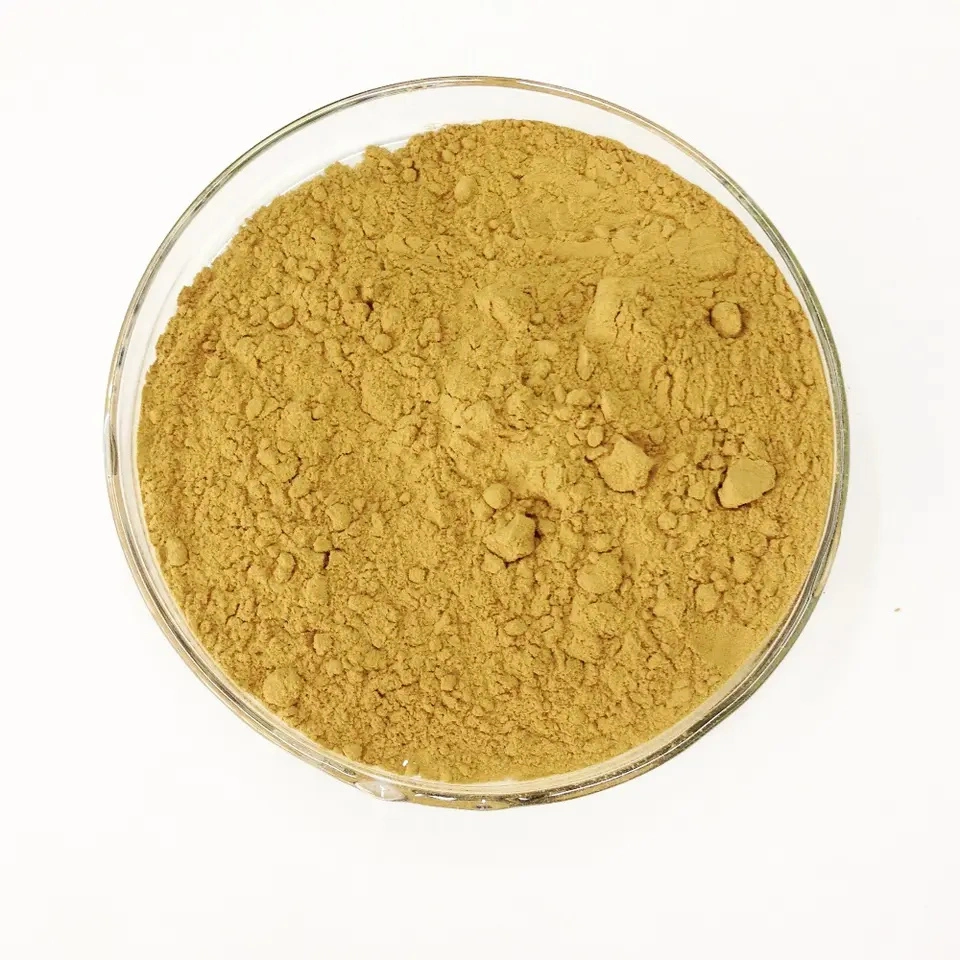 Extracto puro Natural de cítricos polvo 90% 98% Synefrina Citrus Aurantium Extraer