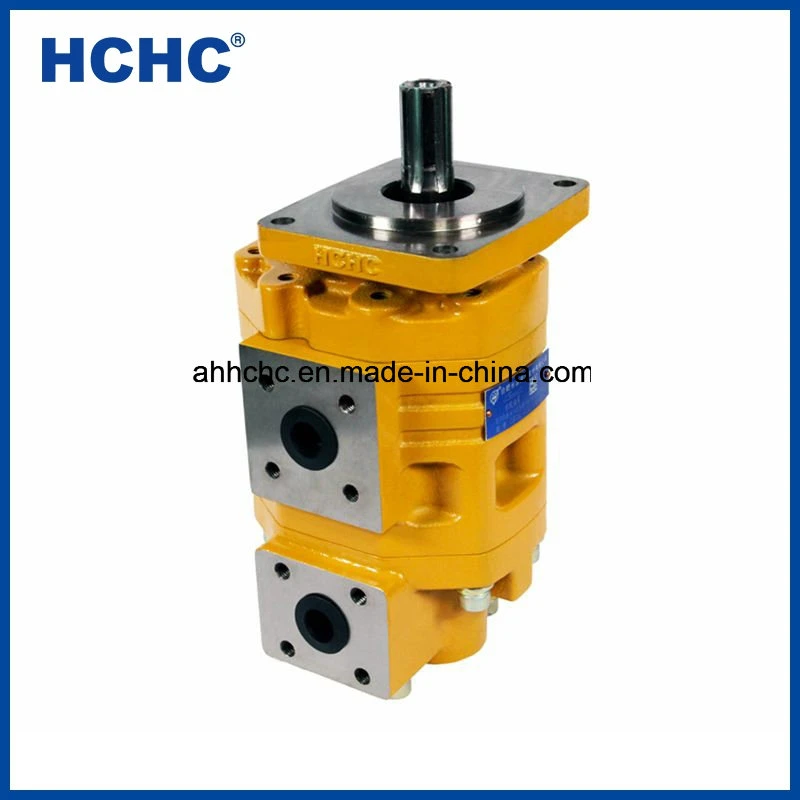 Hochdruck China Hydraulische Doppelzahnradpumpe Cbgnl zum Verkauf