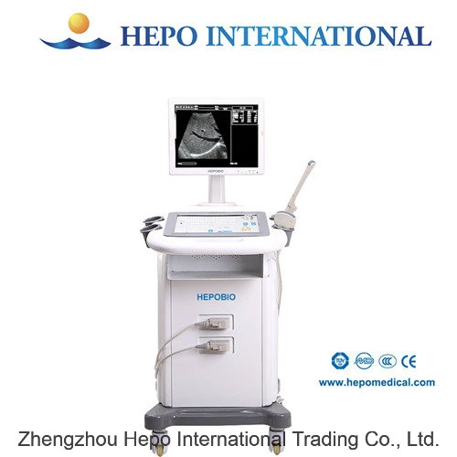 Cheap Price Medical Equipment Digital B&W Ultrasound Scanner