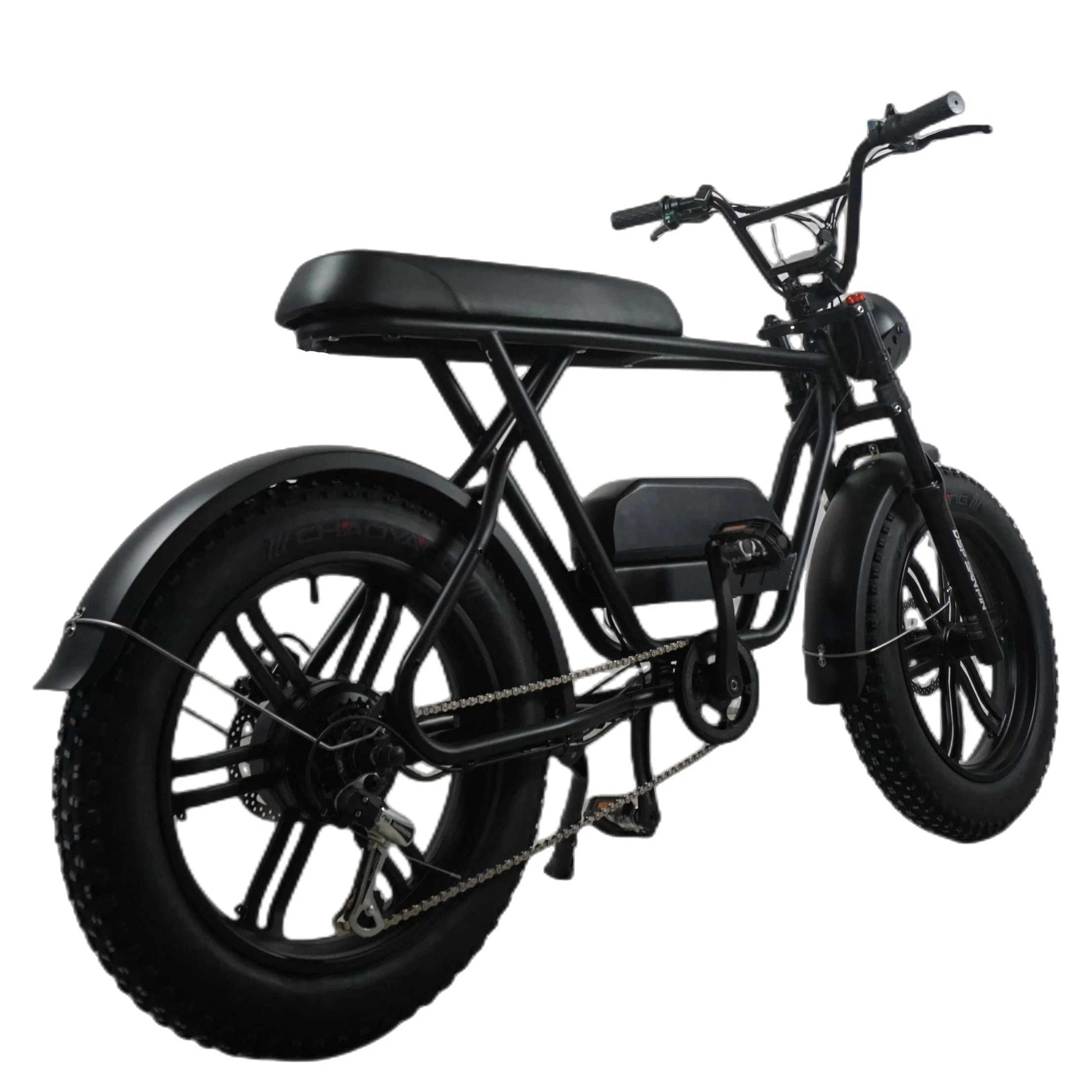 Fat Tire New Design 48V 750W Scooter Disc Brake Electric Bike