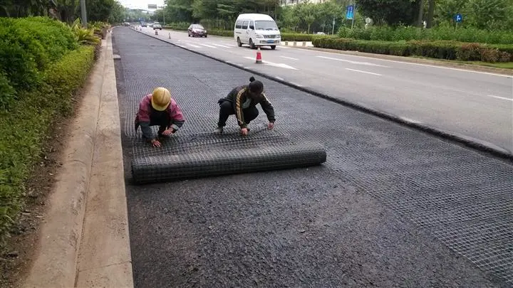 Other Earthwork Products Biaxial Glass Fiber Fiberglass 30kn/M Geogrid for Road Bed Railway Industrial