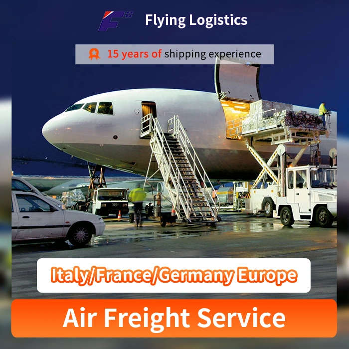 Door to Door Freight Forwarder/Shipping Agent/Sea Freight/Air Freight/Express From China to Italy/France/Germany Europe